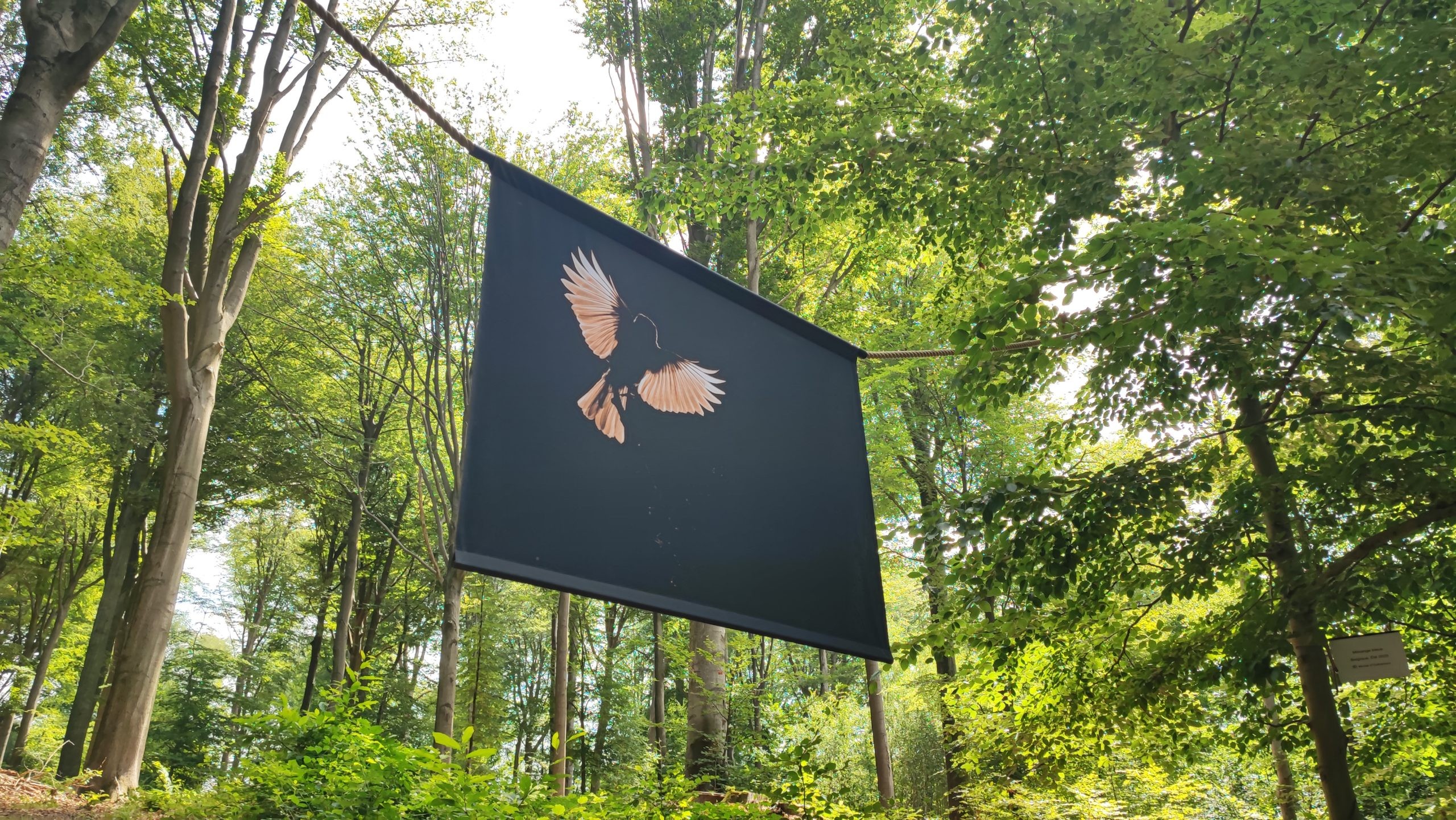 Silly Silence 2022 La nature, écrin de culture