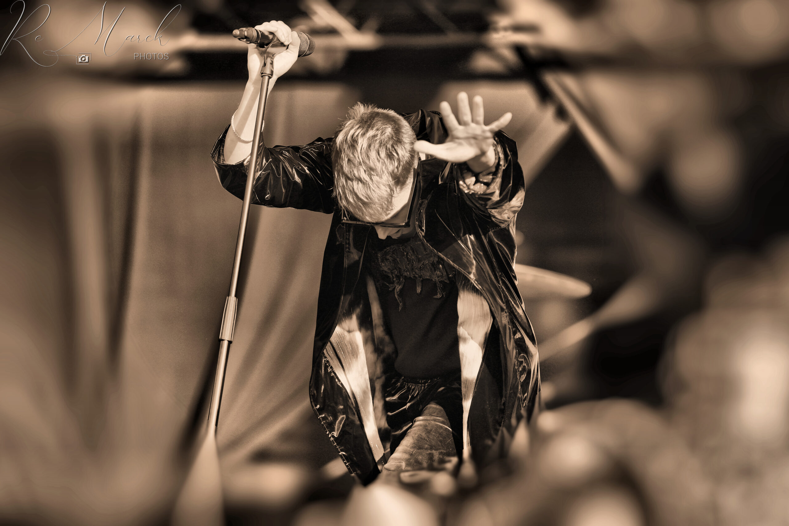 xMustii 39 Baudet22 S1