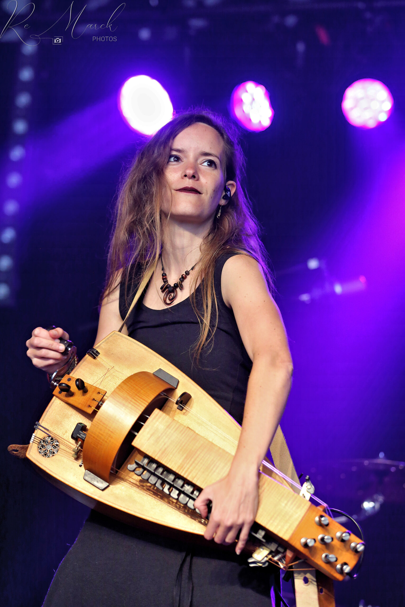 La Maisnie Hellequin 5 AnthisnoisesV23