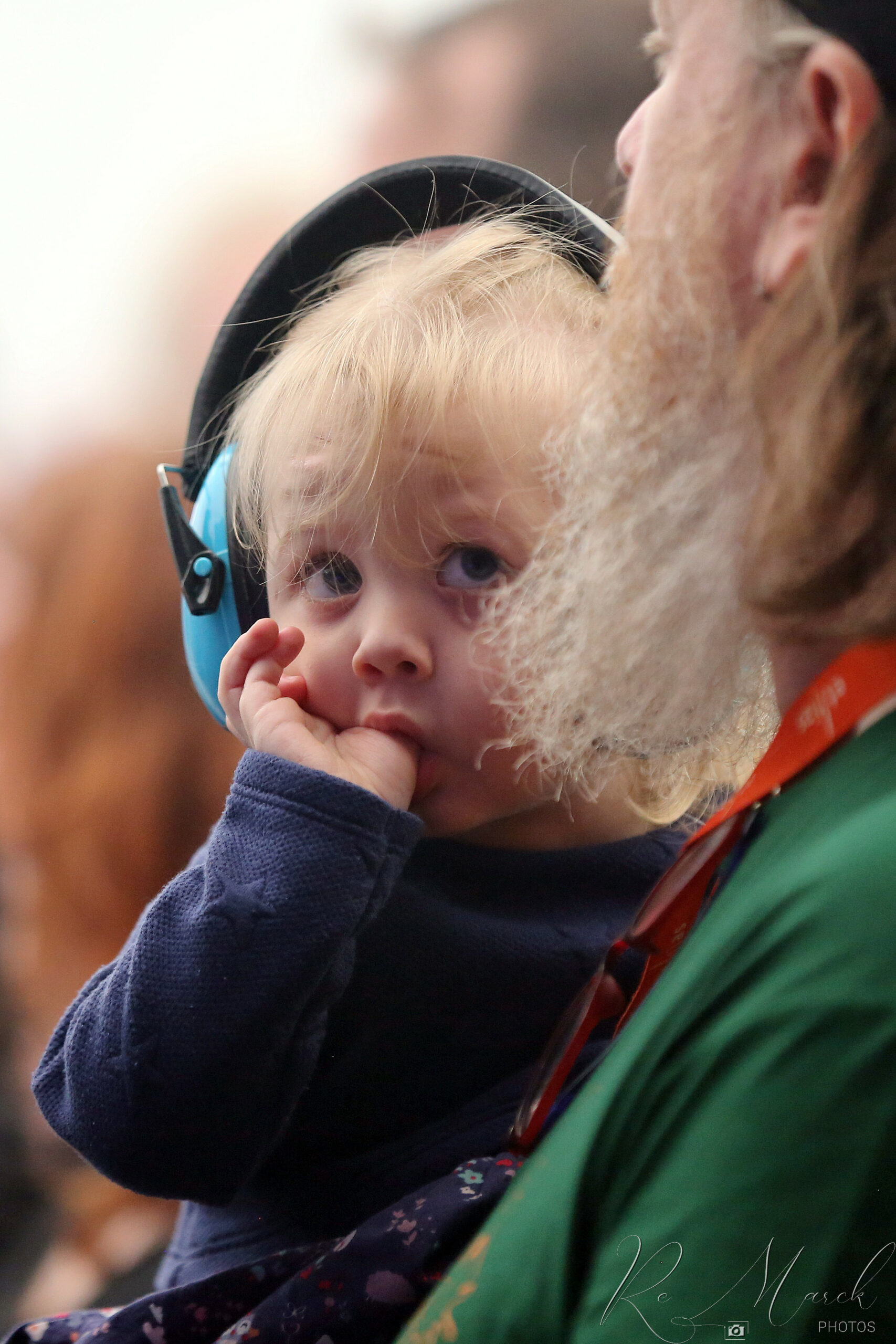 Public 5 AnthisnoisesD23