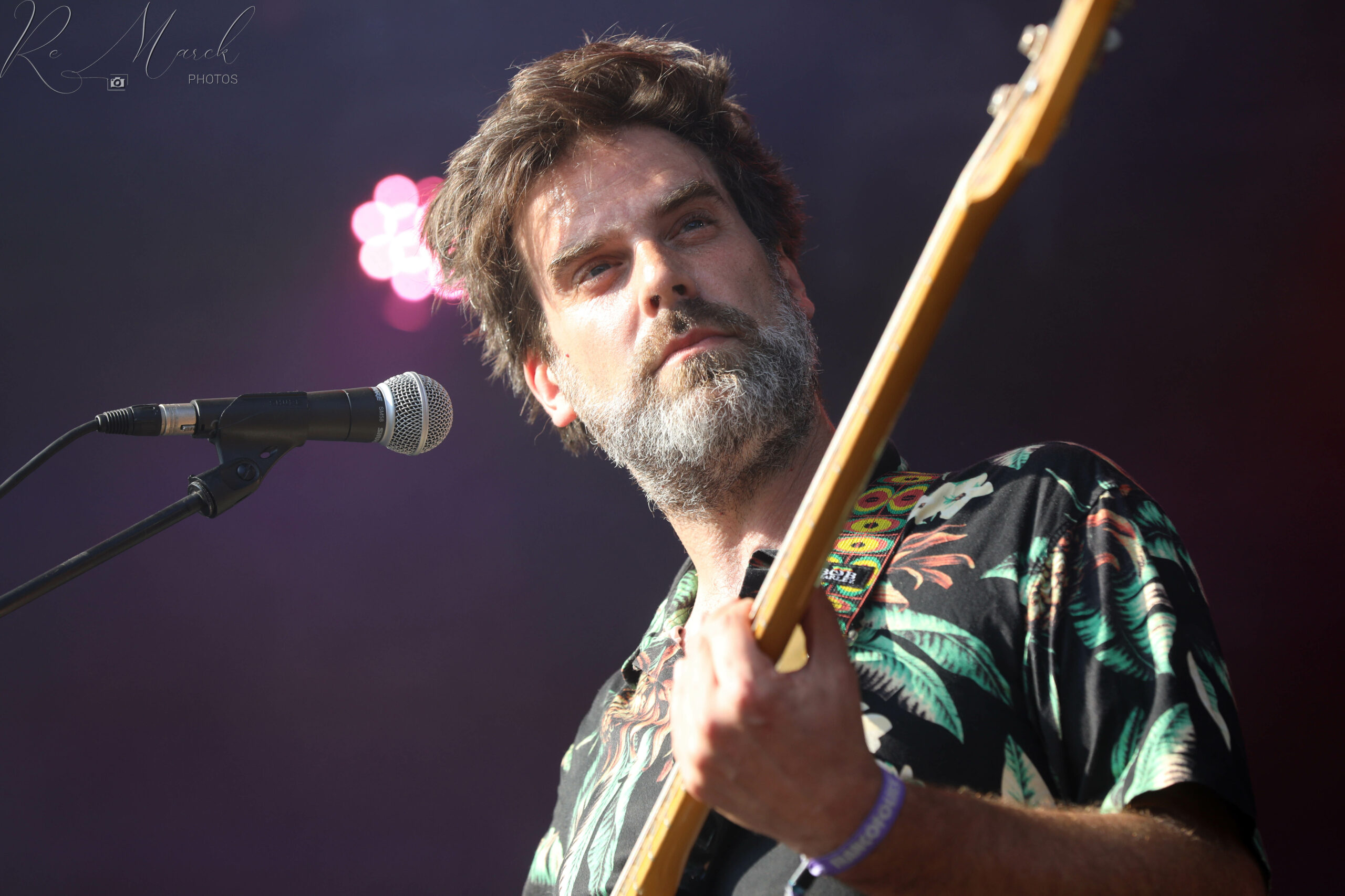 xxAn Pierlé guitare 1 Franco24 J