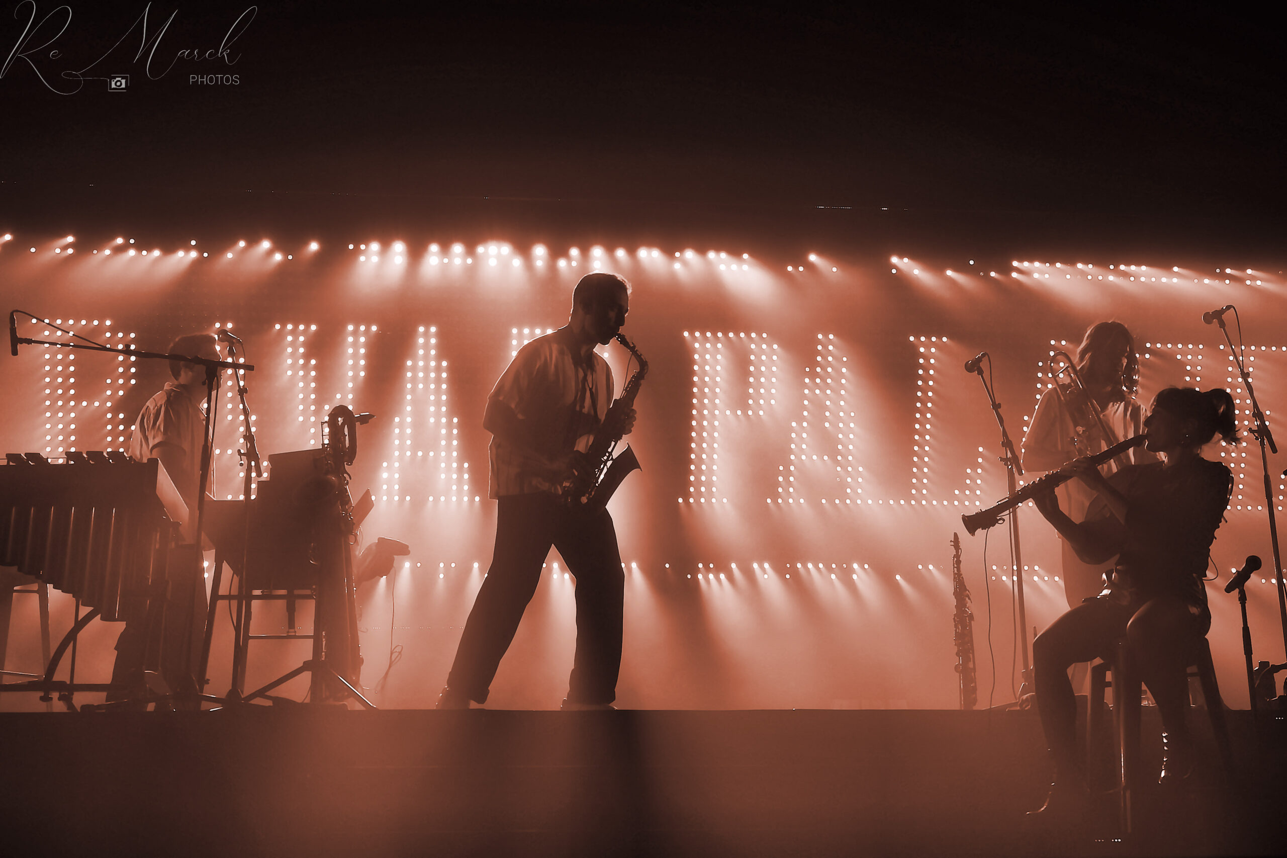 Impossible de rester de marbre à un concert de Caravan Palace.