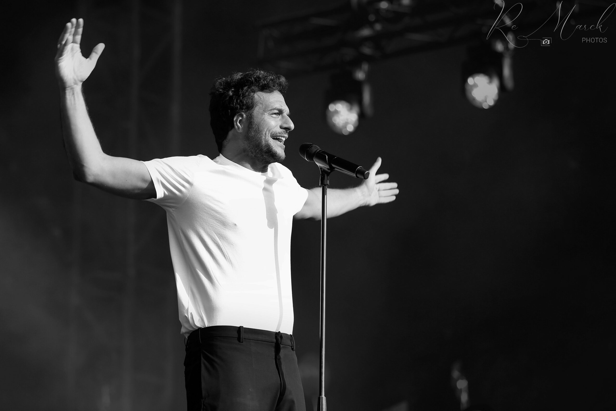 Amir 58 Feelgood 22 V